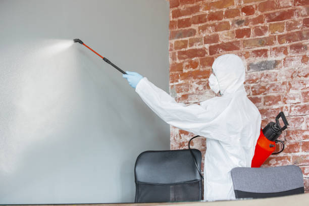 Best Air Quality Testing for Mold Spores  in North Oaks, MN