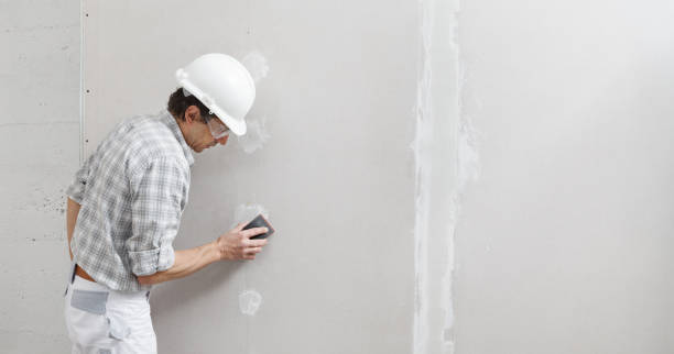 Best Black Mold Removal  in North Oaks, MN