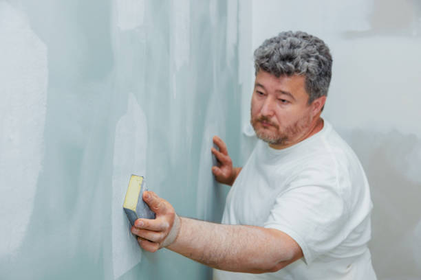 Best Basement Mold Removal  in North Oaks, MN