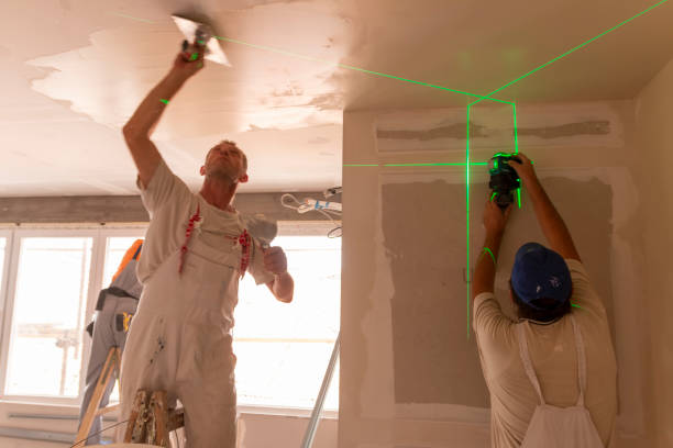 Best Mold Remediation for Rental Properties  in North Oaks, MN